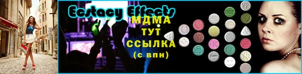 прущие грибы Гусев