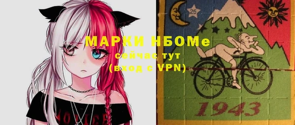 ешки Аркадак