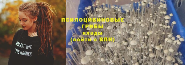 ешки Аркадак